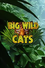 Big Wild Cats